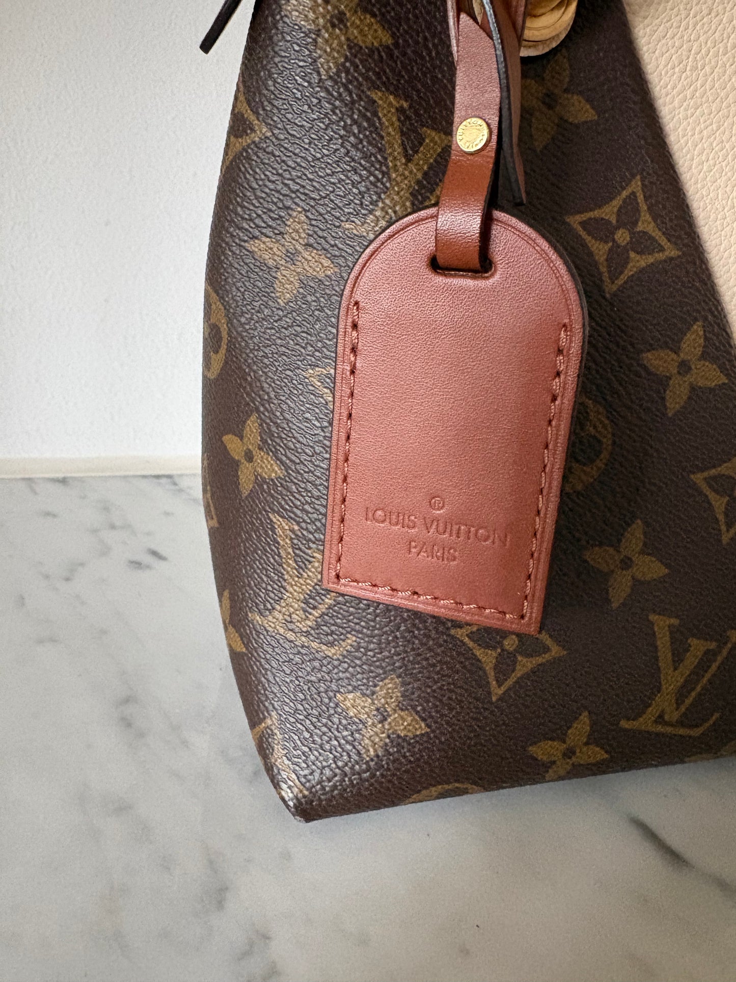 Louis Vuitton V tote