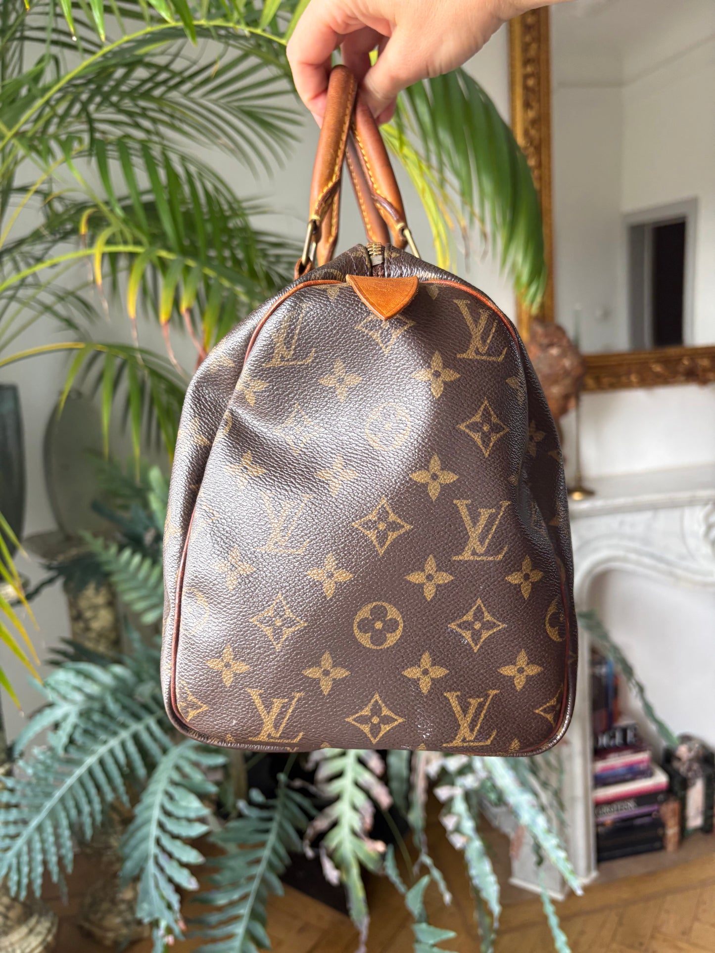 Louis Vuitton Speedy 30