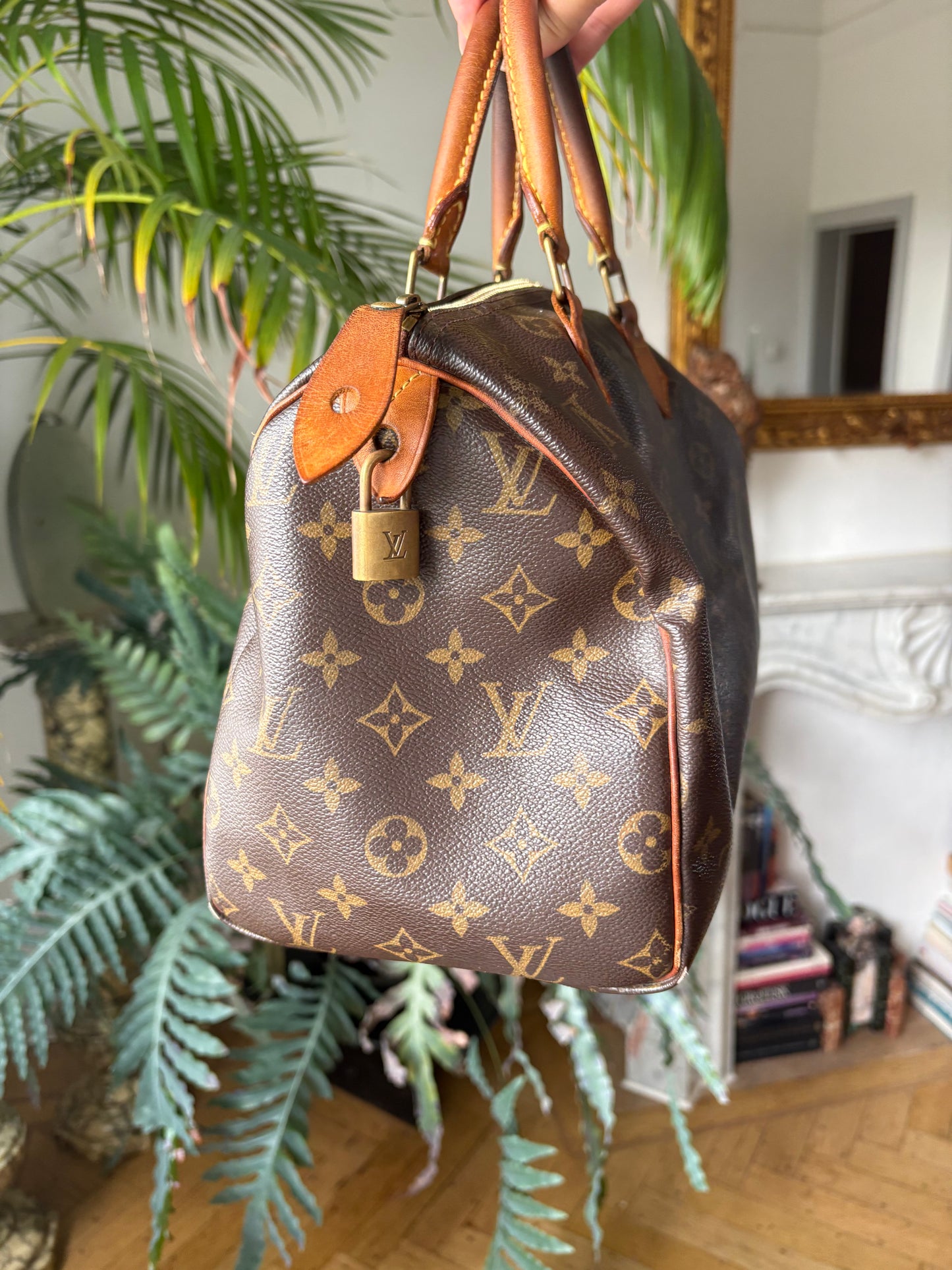 Louis Vuitton Speedy 30