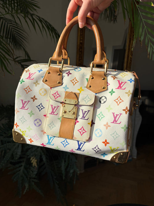 Louis Vuitton Speedy Multicolore