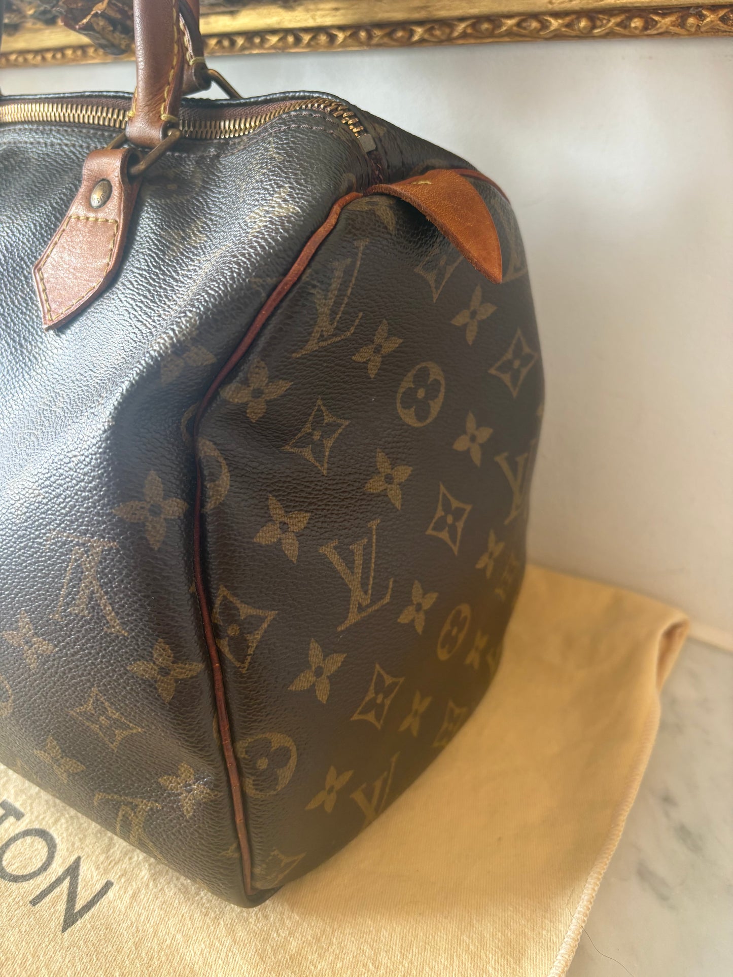 Louis Vuitton Speedy 30