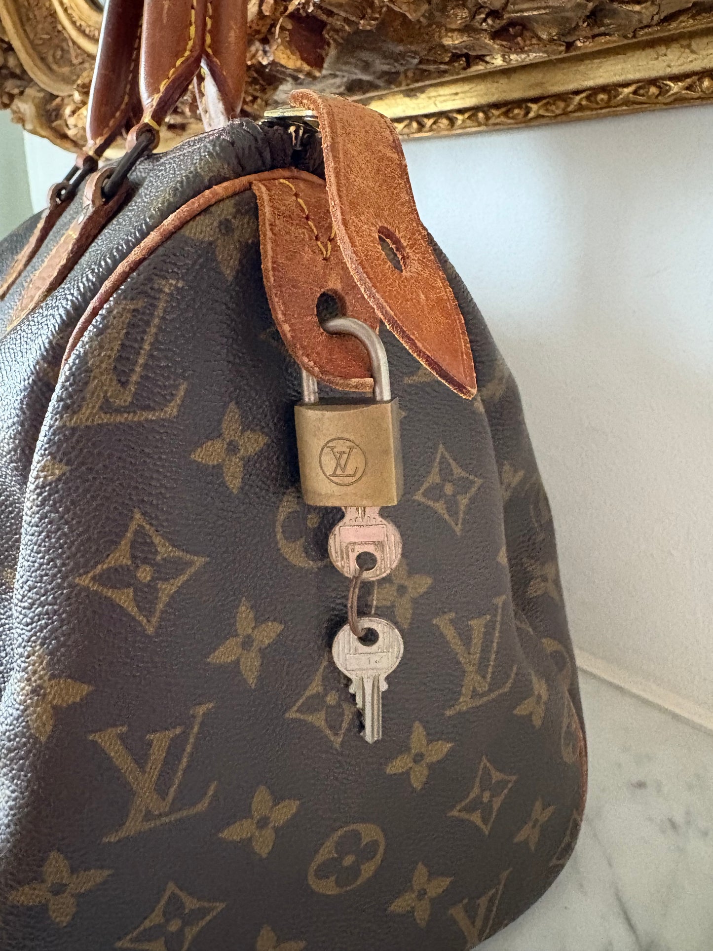 Louis Vuitton Speedy 30