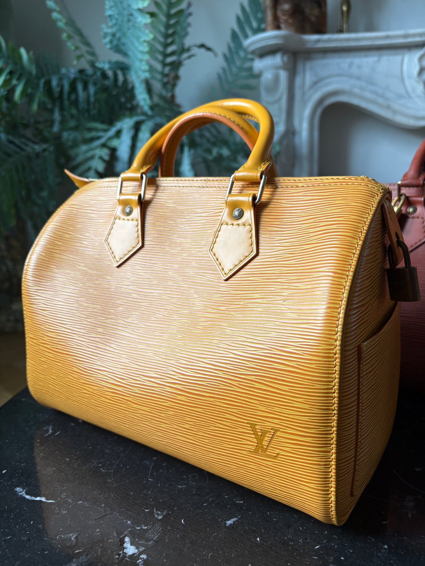 Louis Vuitton Speedy Epi