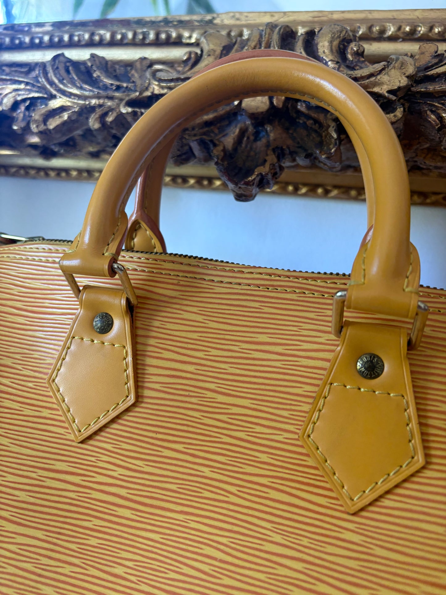 Louis Vuitton Speedy Epi