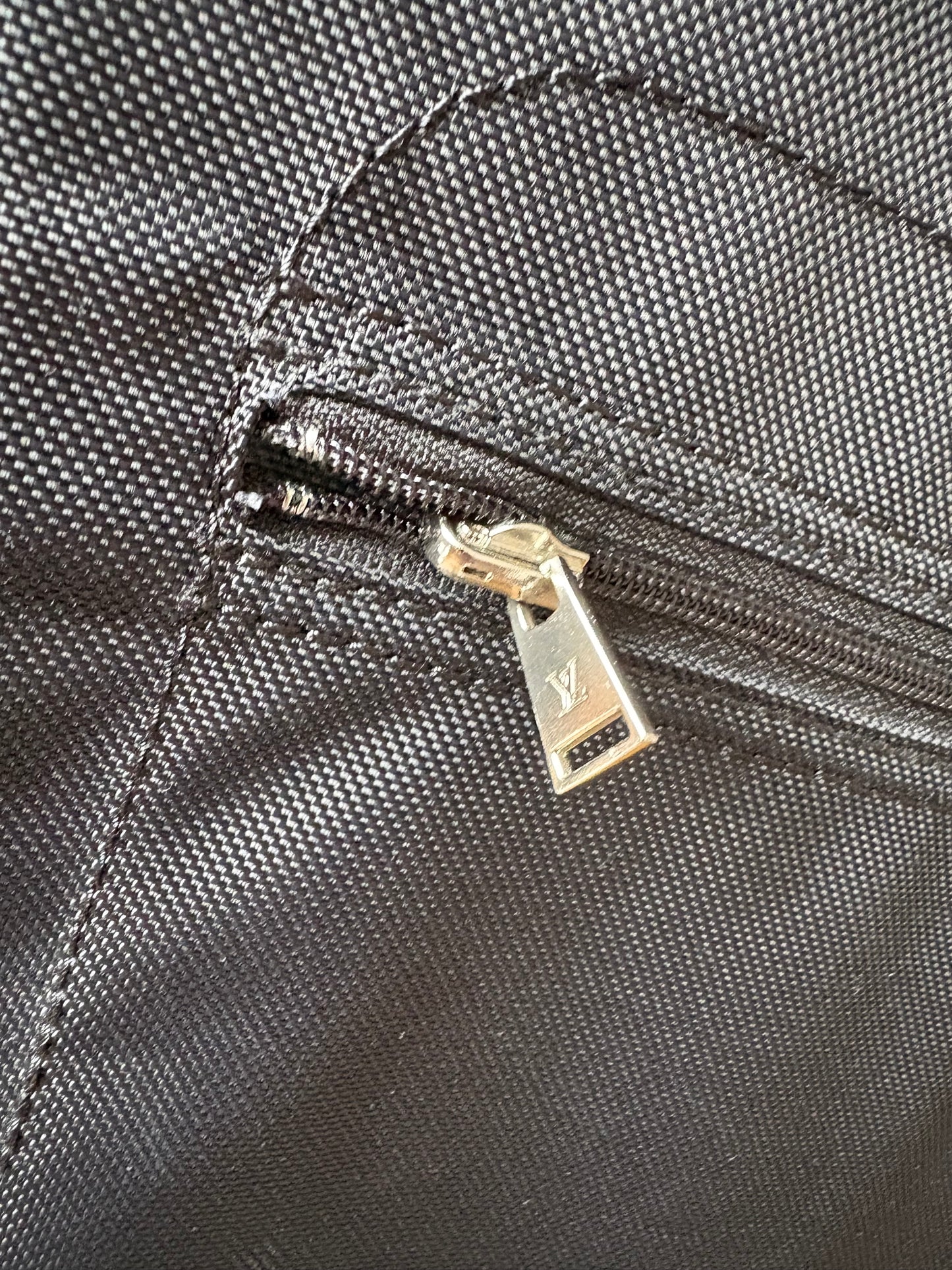 Louis Vuitton Pegase 55