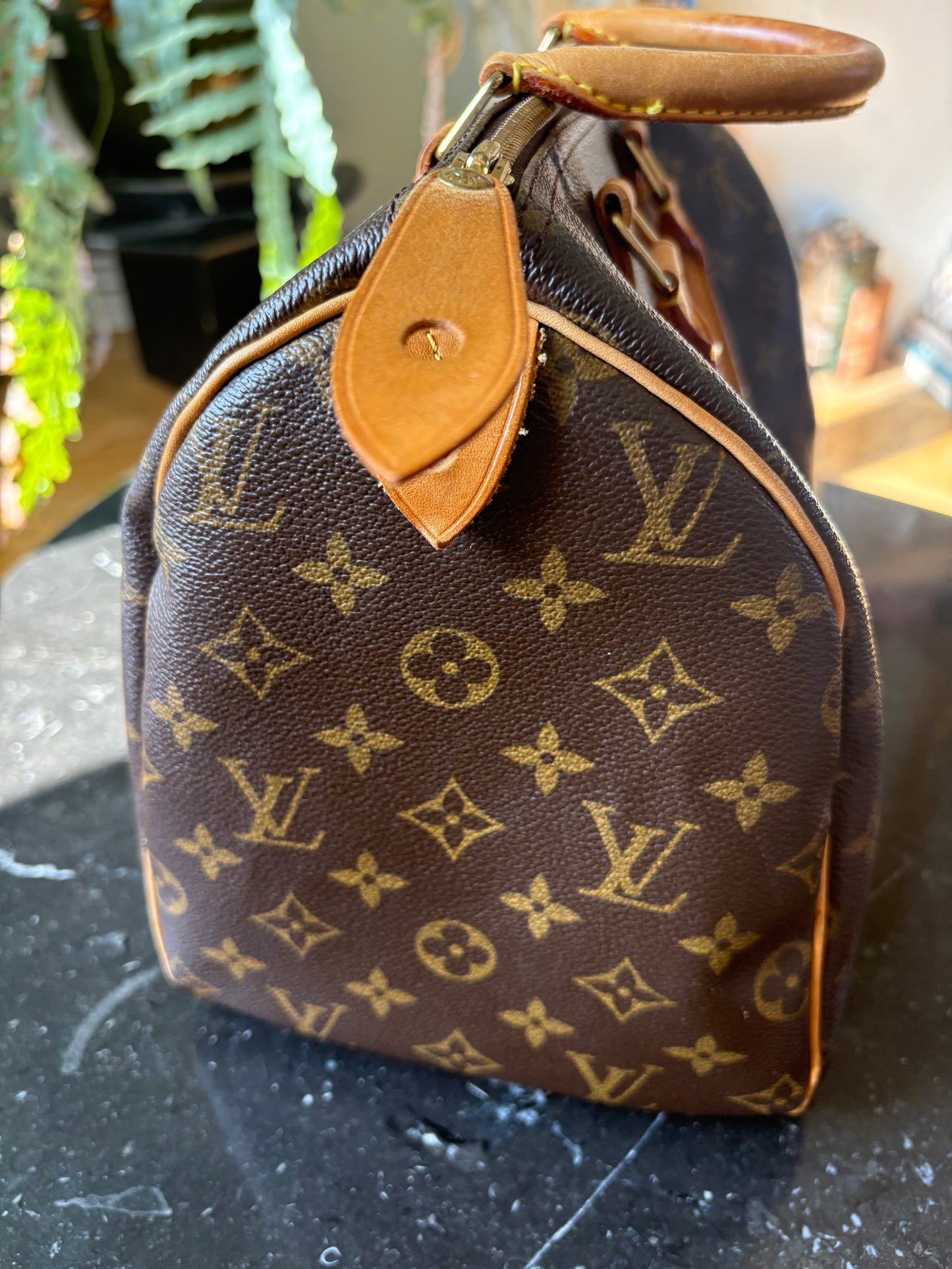 Louis Vuitton Speedy 30
