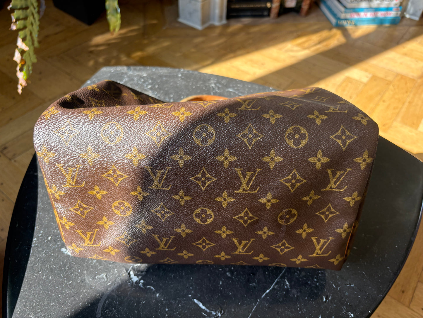 Louis Vuitton Speedy 30